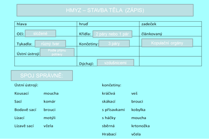 Hmyz stavba těla.ppt